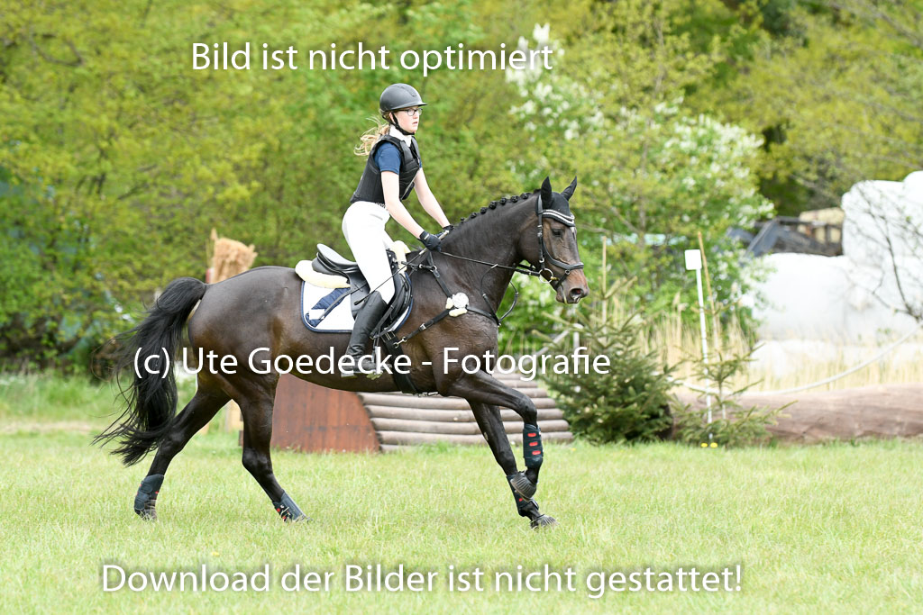 NG Eventing Elmenhorst  7.5.22 | 07052022 Elmenhorst VE _536 