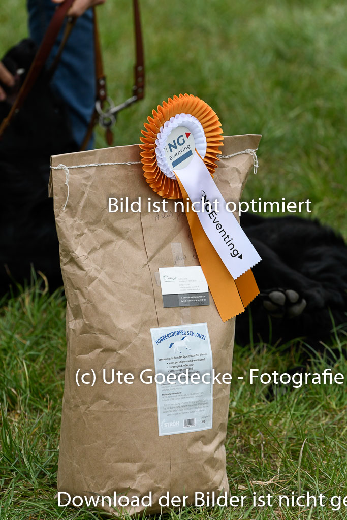 NG Eventing Elmenhorst  7.5.22 | 07052022 Elmenhorst VE _550 