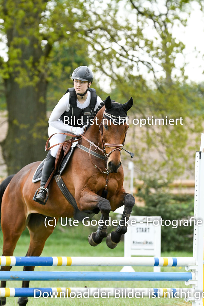NG Eventing Elmenhorst  7.5.22 | 07052022 Elmenhorst VE _558 