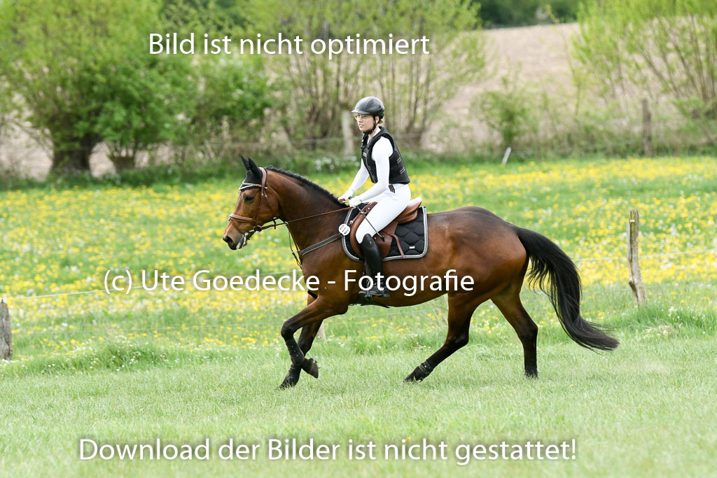 NG Eventing Elmenhorst  7.5.22 | 07052022 Elmenhorst VE _562 
