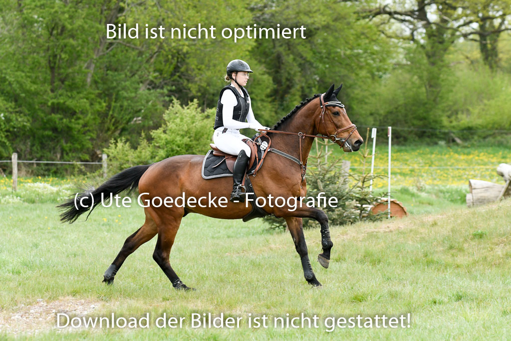 NG Eventing Elmenhorst  7.5.22 | 07052022 Elmenhorst VE _566 