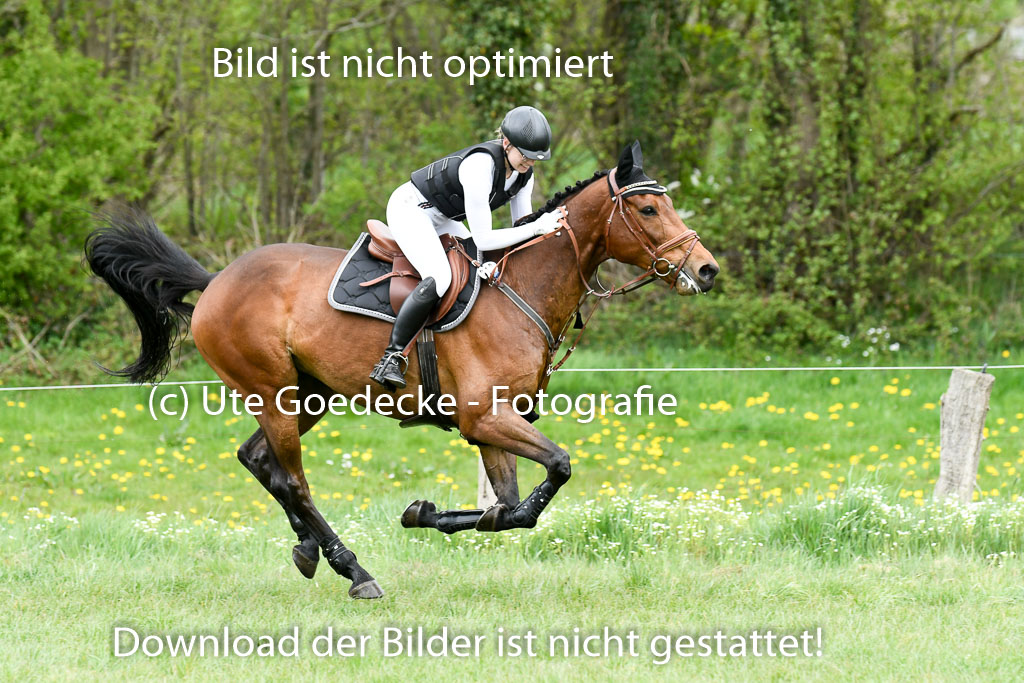 NG Eventing Elmenhorst  7.5.22 | 07052022 Elmenhorst VE _579 