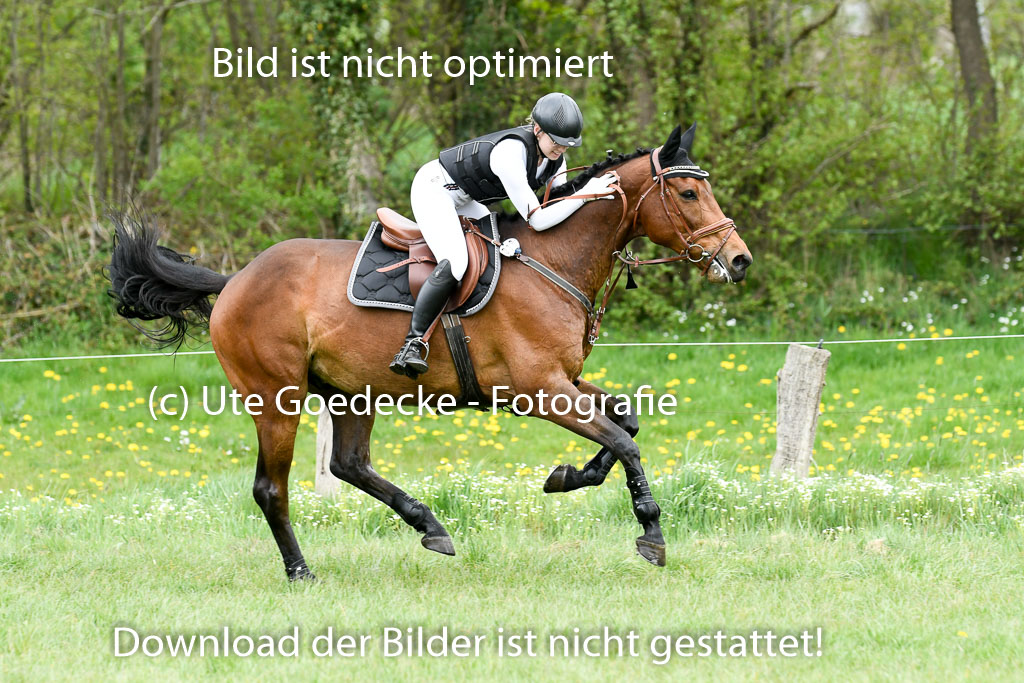 NG Eventing Elmenhorst  7.5.22 | 07052022 Elmenhorst VE _580 