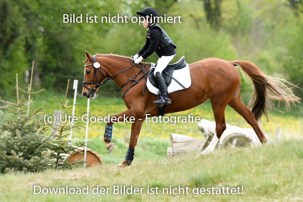 NG Eventing Elmenhorst  7.5.22 | 07052022 Elmenhorst VE _617 