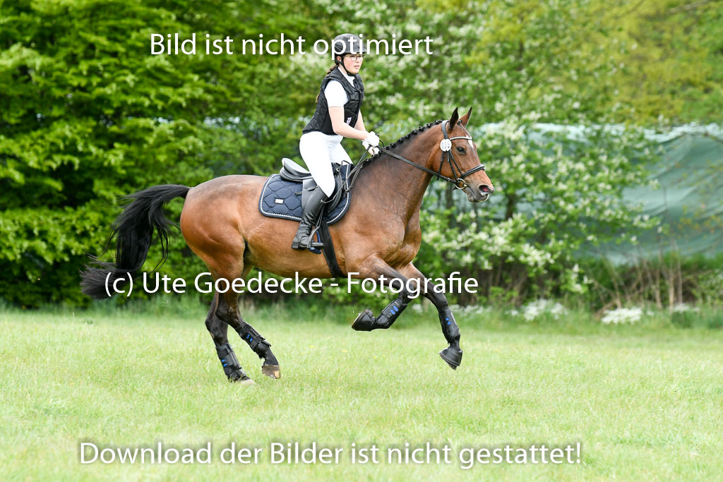 NG Eventing Elmenhorst  7.5.22 | 07052022 Elmenhorst VE _649 