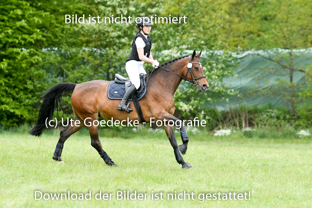 NG Eventing Elmenhorst  7.5.22 | 07052022 Elmenhorst VE _650 