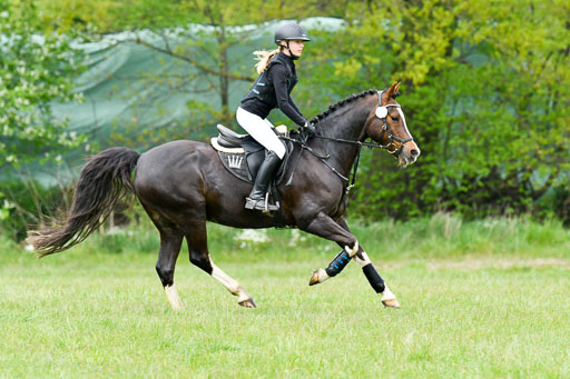 NG Eventing Elmenhorst   7.5.22 | 07052022 Elmenhorst VE _089 
