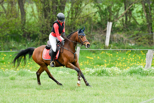 NG Eventing Elmenhorst   7.5.22 | 07052022 Elmenhorst VE _169 