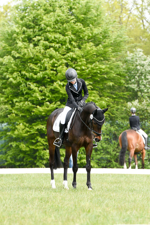 NG Eventing Elmenhorst  7.5.22 | 07052022 Elmenhorst VE _225 