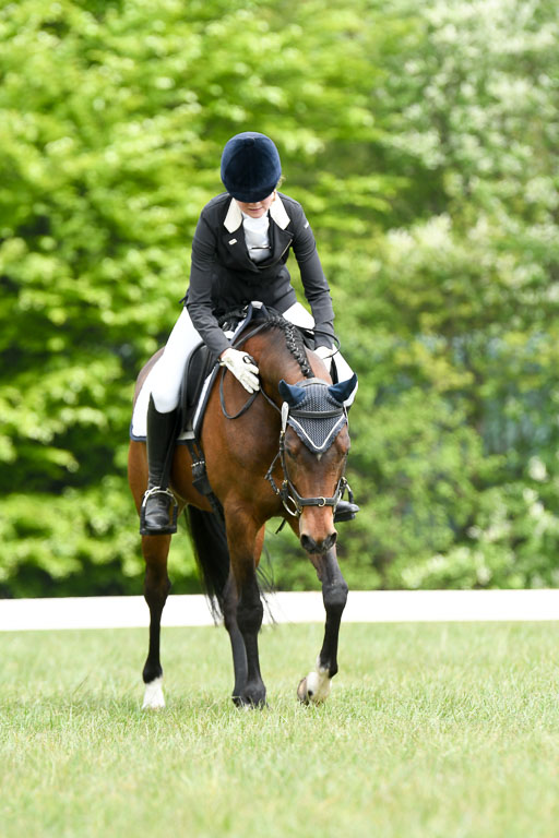 NG Eventing Elmenhorst  7.5.22 | 07052022 Elmenhorst VE _242 