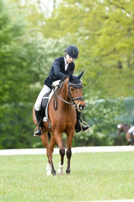 NG Eventing Elmenhorst  7.5.22 | 07052022 Elmenhorst VE _264 