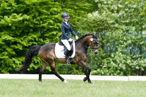 NG Eventing Elmenhorst  7.5.22 | 07052022 Elmenhorst VE _271 
