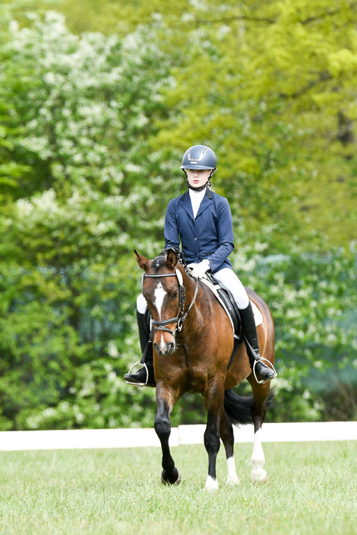 NG Eventing Elmenhorst  7.5.22 | 07052022 Elmenhorst VE _279 