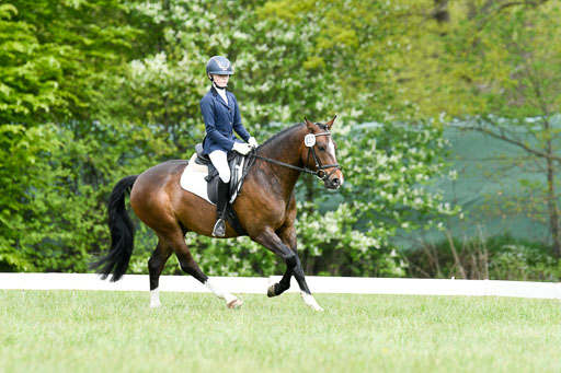 NG Eventing Elmenhorst  7.5.22 | 07052022 Elmenhorst VE _281 