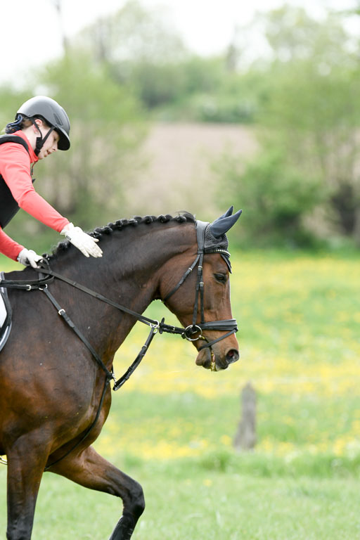 NG Eventing Elmenhorst  7.5.22 | 07052022 Elmenhorst VE _329 