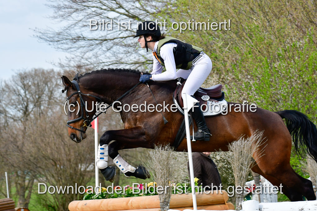 NG Eventing Elmenhorst 20.4.22 | Friedrich, Sabine - Giganta