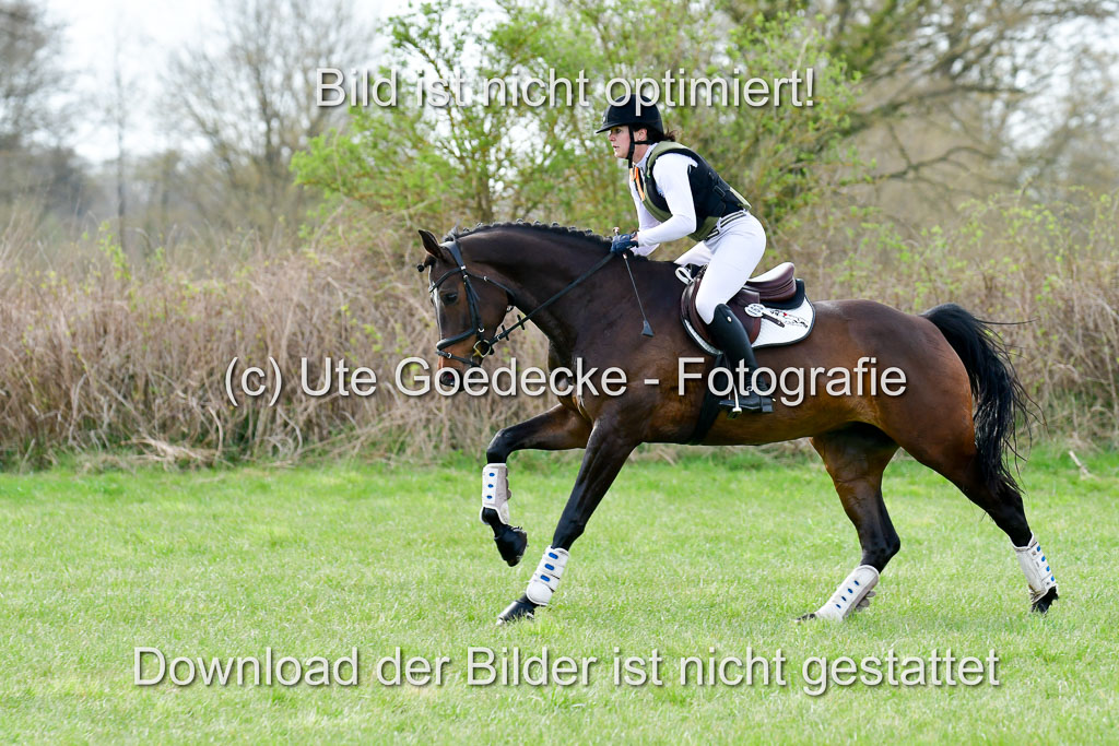NG Eventing Elmenhorst 20.4.22 | Friedrich, Sabine - Giganta_05