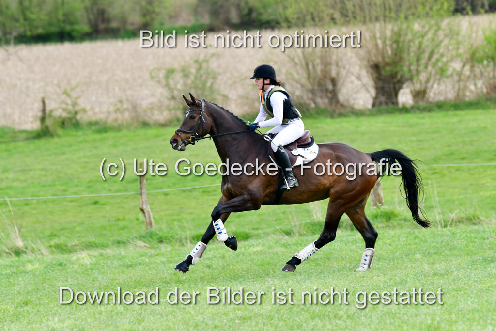 NG Eventing Elmenhorst 20.4.22 | Friedrich, Sabine - Giganta_06