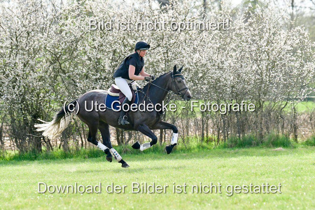 NG Eventing Elmenhorst  20.4.22 | Gerken, Rebecca Juana - Elegance_06 