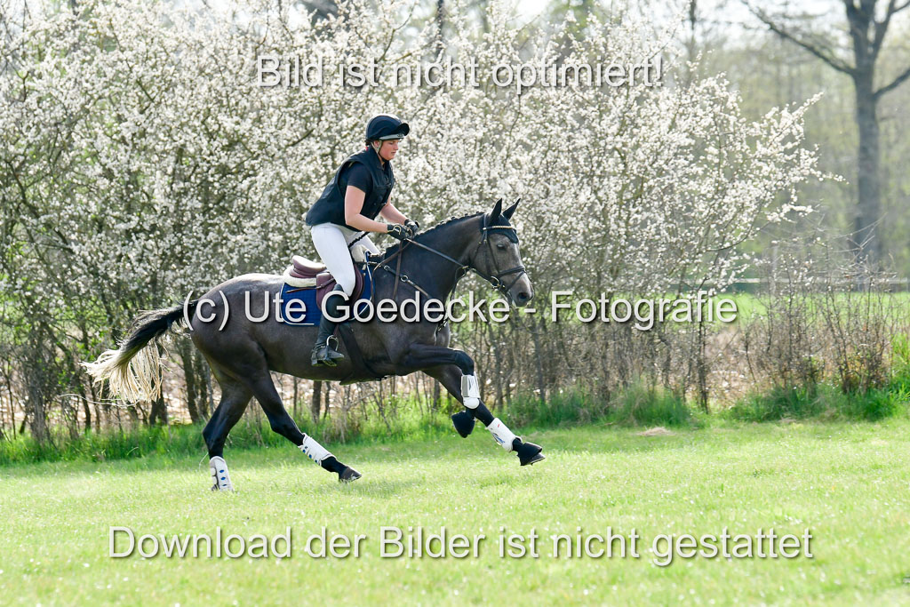 NG Eventing Elmenhorst  20.4.22 | Gerken, Rebecca Juana - Elegance_07 