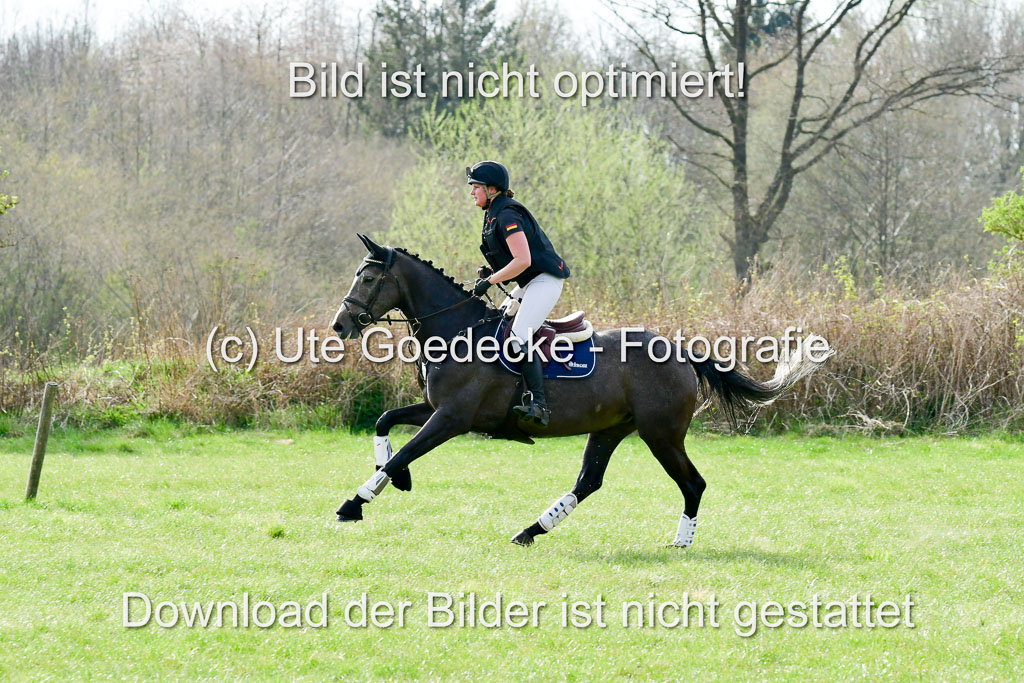 NG Eventing Elmenhorst 20.4.22 | Gerken, Rebecca Juana - Elegance_17