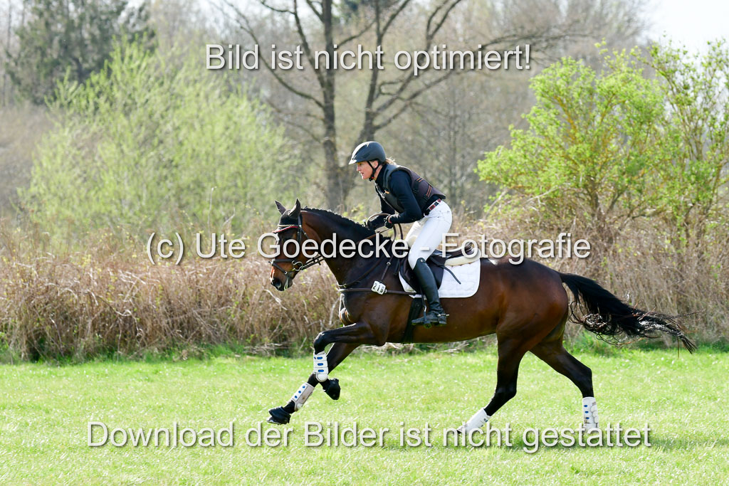 NG Eventing Elmenhorst  20.4.22 | Jankowski, Beeke - Kanzel M_11 