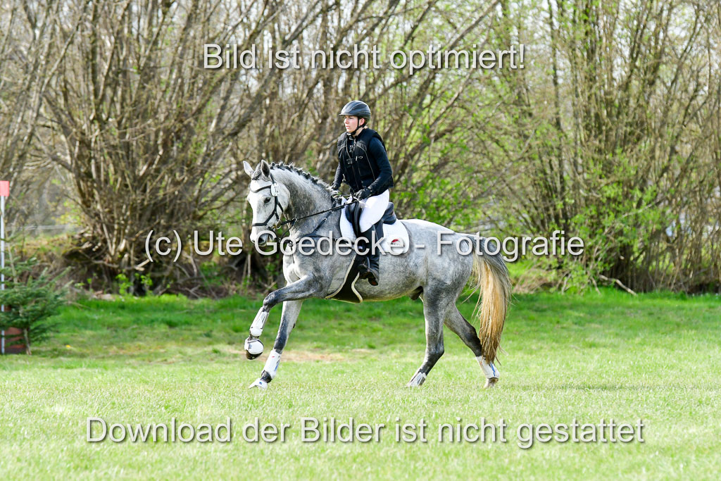 NG Eventing Elmenhorst 20.4.22 | Jürgensen, Sünje - Dinaro_4