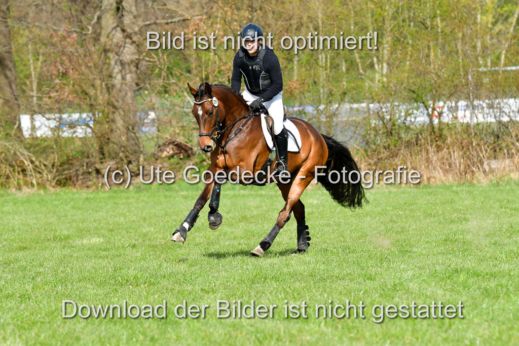 NG Eventing Elmenhorst 20.4.22 | Meyer, Frederik - Meyers Conte