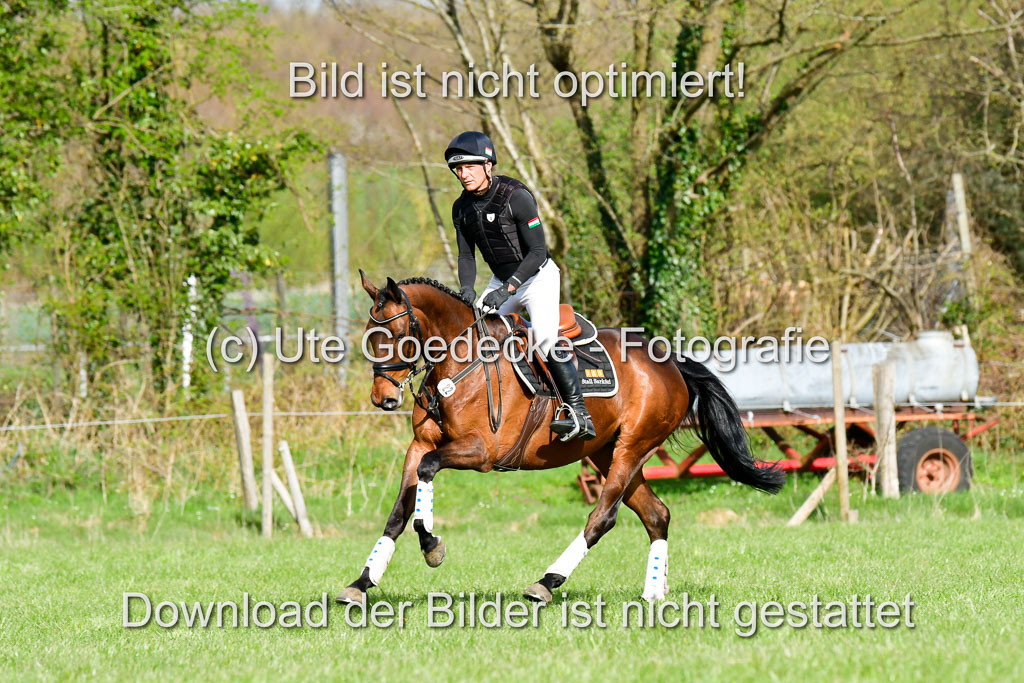 NG Eventing Elmenhorst 20.4.22 | Sarközi, Csaba - Baja