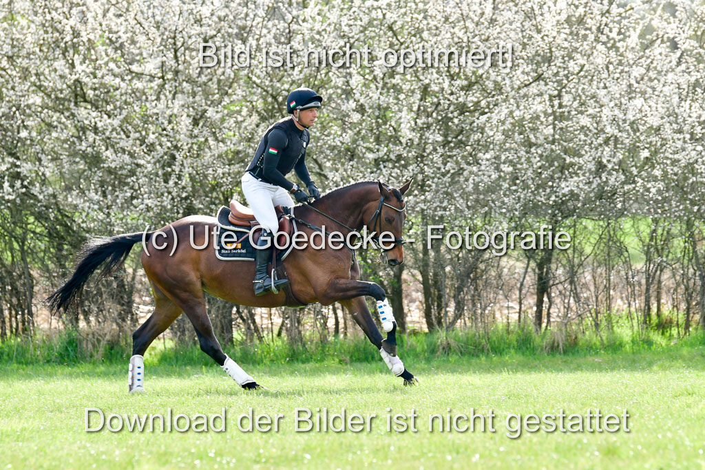 NG Eventing Elmenhorst 20.4.22 | Sarközi, Csaba - Baja_06