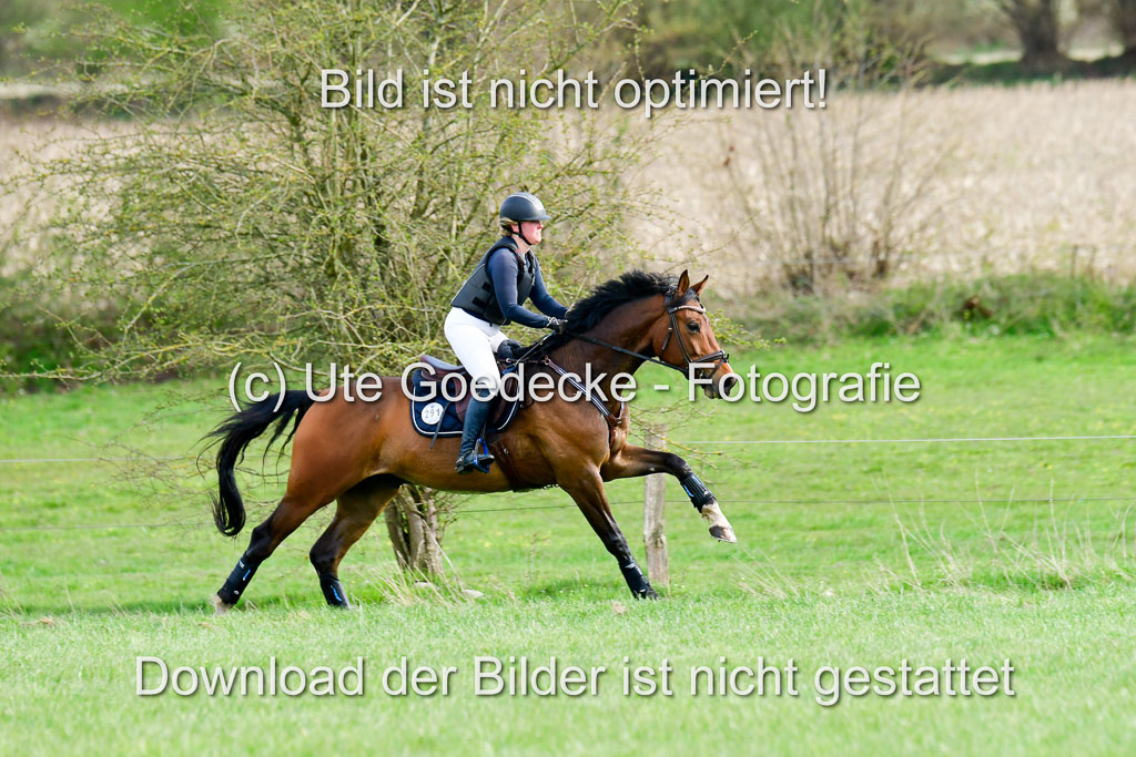 NG Eventing Elmenhorst 20.4.22 | Schaeffer, Desiree - Perfect Percussion_02