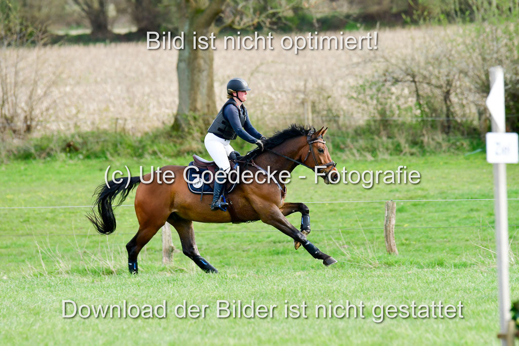 NG Eventing Elmenhorst 20.4.22 | Schaeffer, Desiree - Perfect Percussion_03
