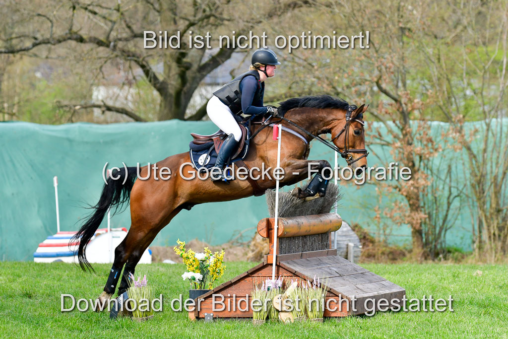 NG Eventing Elmenhorst  20.4.22 | Schaeffer, Desiree - Perfect Percussion_04 