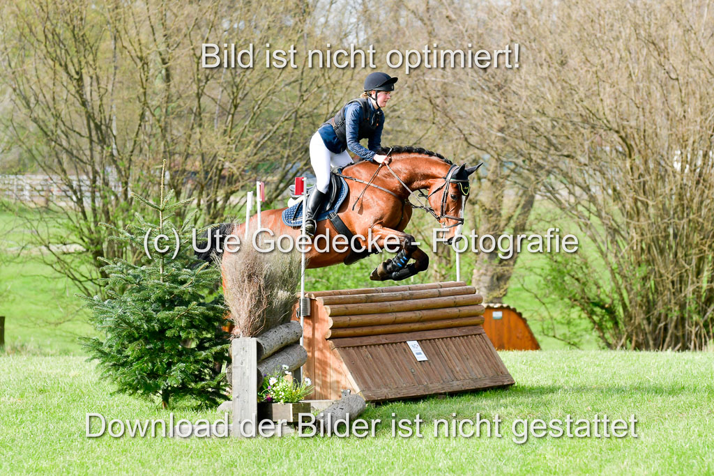 NG Eventing Elmenhorst 20.4.22 | Weidtmann, Rike - Morninbg Star_1