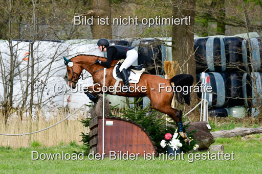 Geländepferde L