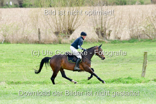 NG Eventing Elmenhorst  20.4.22 | Mertens, sabrina - Maxi Lotta_2 