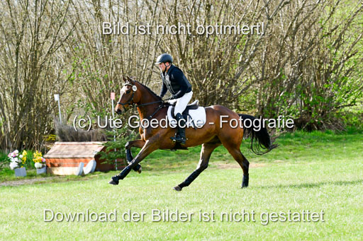 Geländepferde L