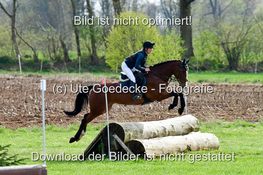 NG Eventing Elmenhorst  20.4.22 | Weidtmann, Rike - Morninbg Star 