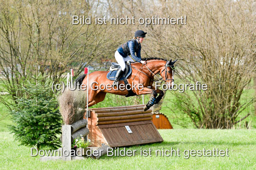 NG Eventing Elmenhorst  20.4.22 | Weidtmann, Rike - Morninbg Star_2 