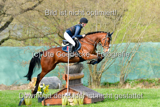 NG Eventing Elmenhorst  20.4.22 | Weidtmann, Rike - Morninbg Star_4 