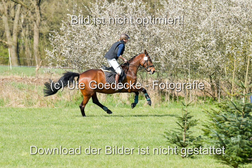 NG Eventing Elmenhorst  21.4.22 | Bramann, Sabine - Seraphine_06 