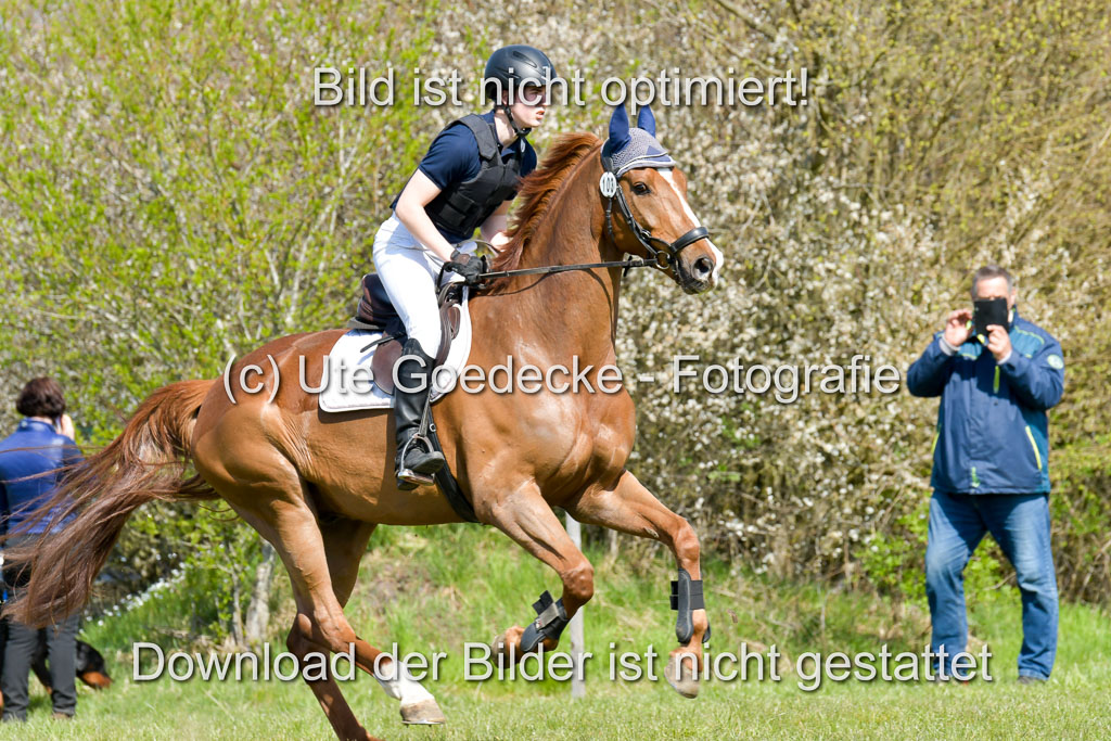 NG Eventing Elmenhorst  21.4.22 | Brandt, Alexander - D Vino_04 