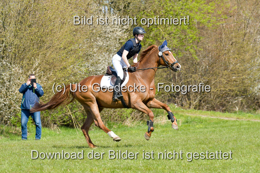 NG Eventing Elmenhorst  21.4.22 | Brandt, Alexander - D Vino_05 