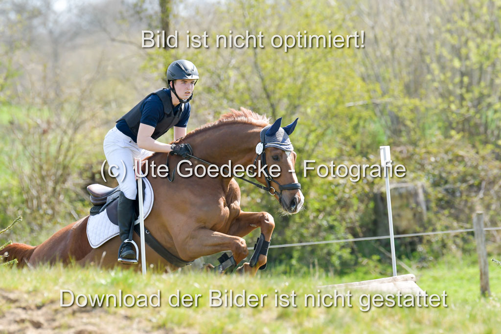 NG Eventing Elmenhorst  21.4.22 | Brandt, Alexander - D Vino_06 