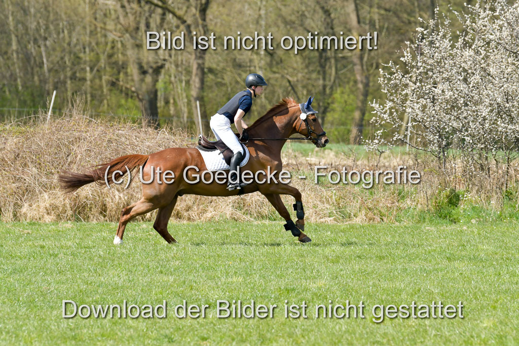 NG Eventing Elmenhorst  21.4.22 | Brandt, Alexander - D Vino_09 