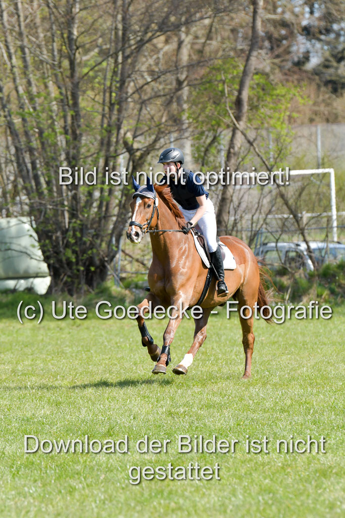 NG Eventing Elmenhorst  21.4.22 | Brandt, Alexander - D Vino_10 