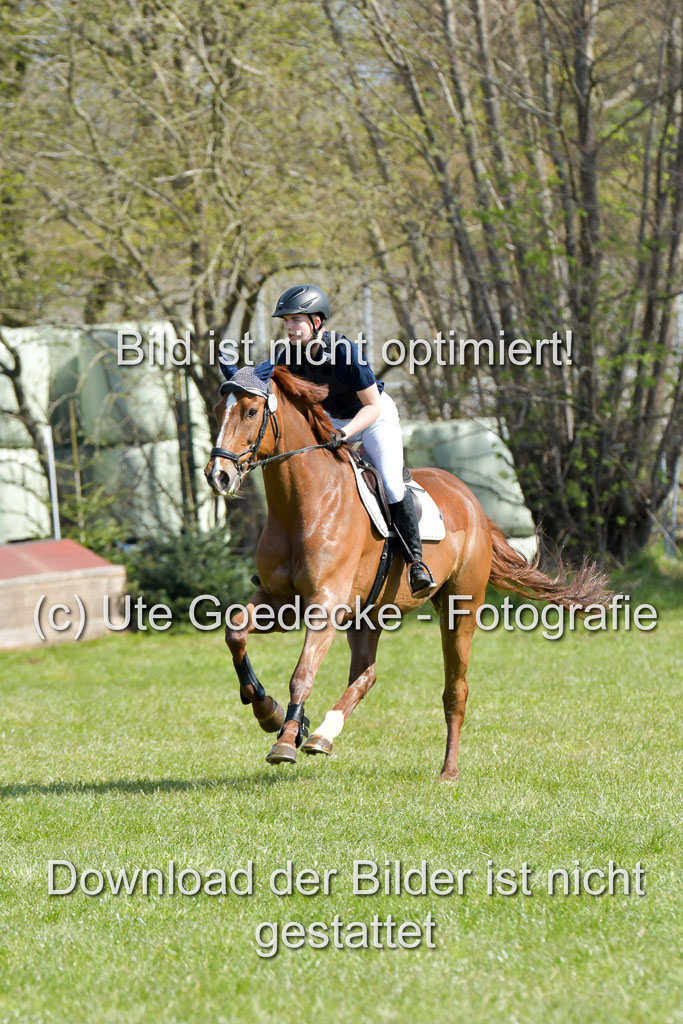 NG Eventing Elmenhorst  21.4.22 | Brandt, Alexander - D Vino_11 