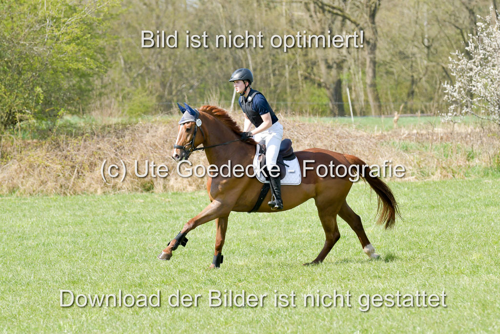 NG Eventing Elmenhorst  21.4.22 | Brandt, Alexander - D Vino_13 