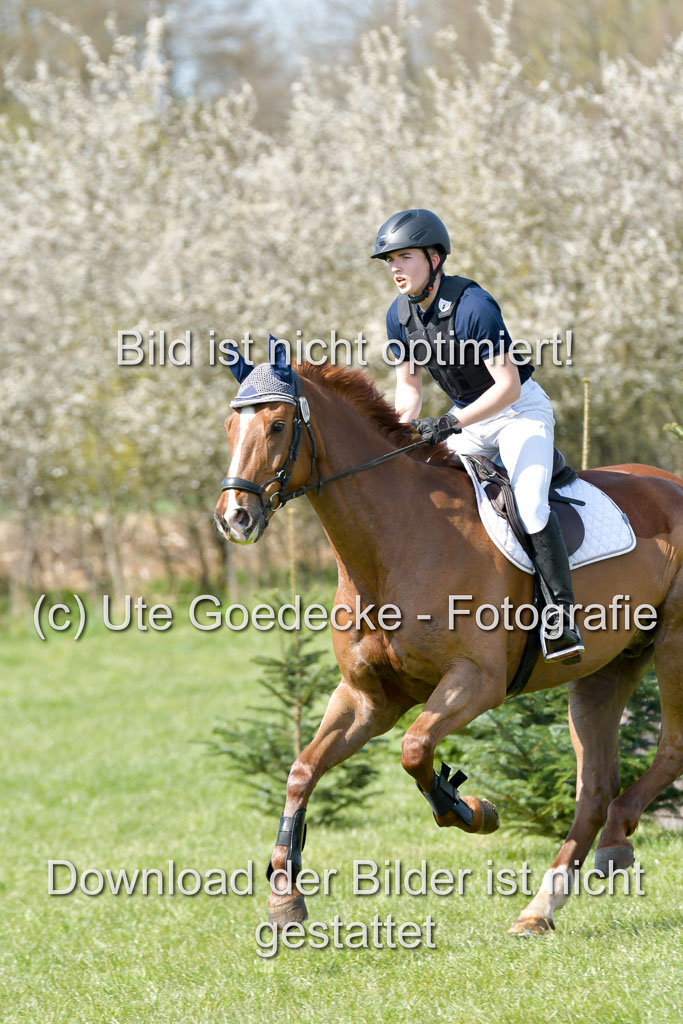 NG Eventing Elmenhorst  21.4.22 | Brandt, Alexander - D Vino_15 