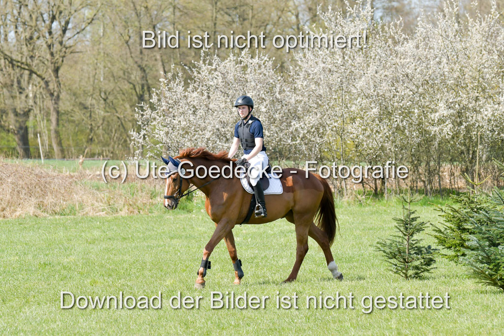 NG Eventing Elmenhorst  21.4.22 | Brandt, Alexander - D Vino 